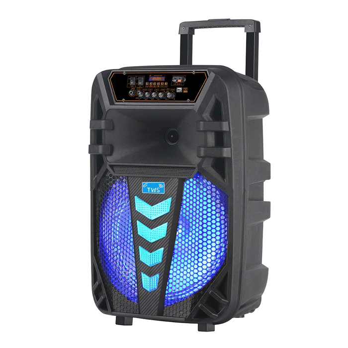 PZX GZ-W1012 Bluetooth Φορητό ηχείο - Wireless Portable Speaker 12''