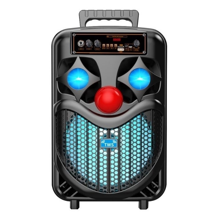 PZX NDR-P66 Bluetooth Φορητό ηχείο - Wireless Speaker 8 Inch